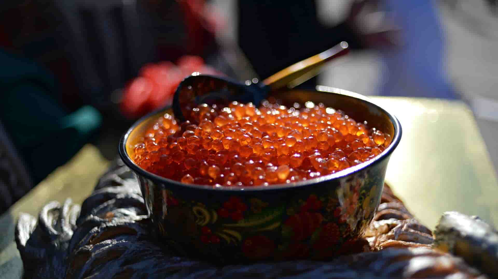 خرید و قیمت خاویار سرخ + قیمت خرید باور نکردنی